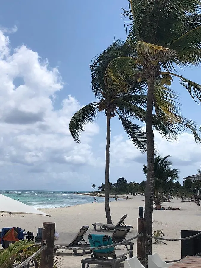 Resort Grand Coral Ocean Dream Sv Hotel Playa del Carmen Mexico