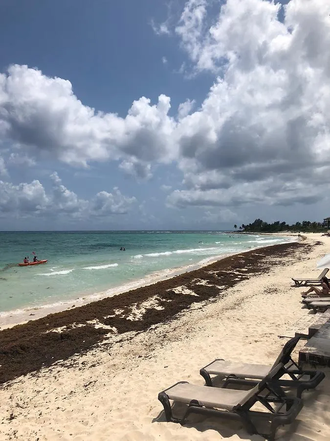 Grand Coral Ocean Dream Sv Hotel Playa del Carmen Ośrodek wypoczynkowy